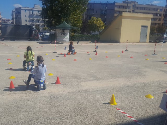 sems