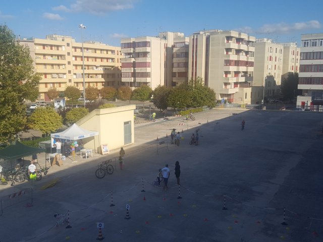 sems
