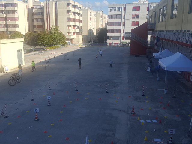 sems