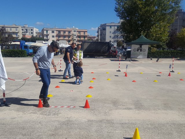 sems