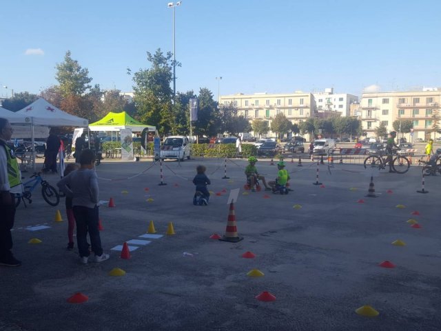 sems