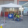 sems